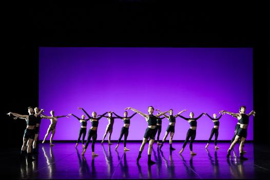 The Youth Company